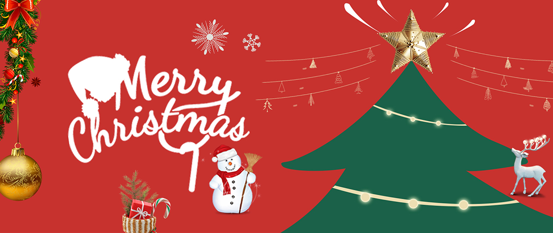 嘿!您的圣誕小精靈已到達